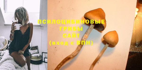 хмурый Богданович