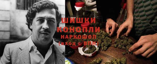 амф Заполярный