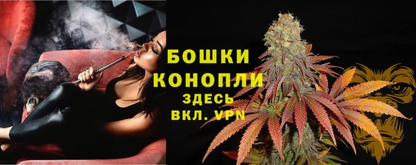 хмурый Богданович