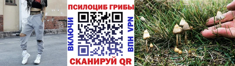 Псилоцибиновые грибы прущие грибы  наркота  blacksprut маркетплейс  Гусев 