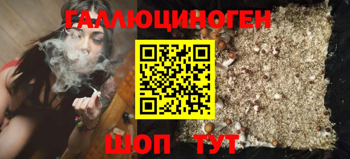 Псилоцибиновые грибы GOLDEN TEACHER Гусев