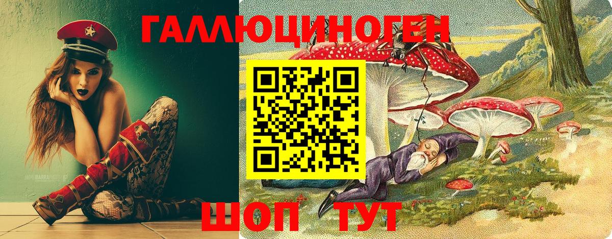 Псилоцибиновые грибы мицелий  Гусев 